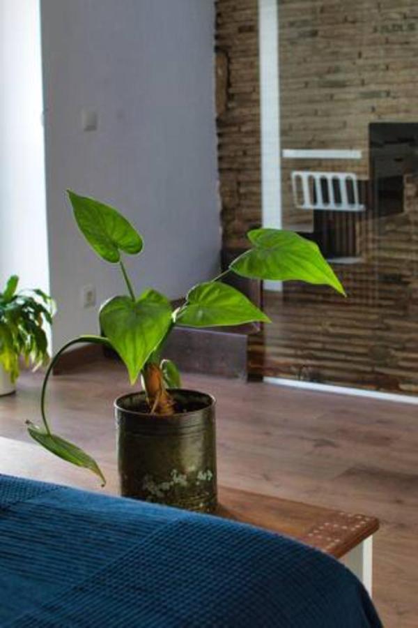 Casa Particular Mediterranea En El Centrico Casco Antiguo A Un Paso Del Mar เดเนีย ภายนอก รูปภาพ
