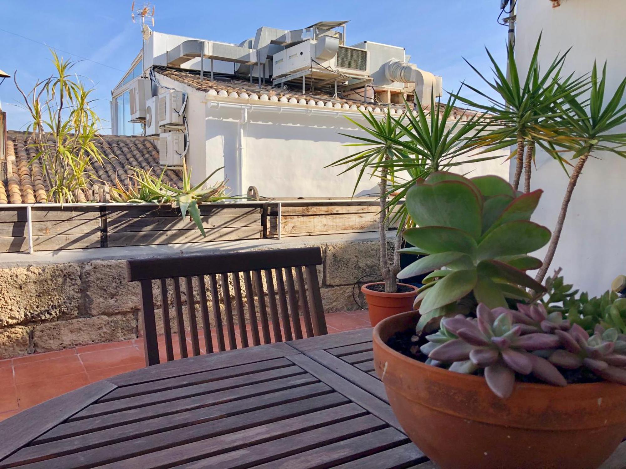 Casa Particular Mediterranea En El Centrico Casco Antiguo A Un Paso Del Mar เดเนีย ภายนอก รูปภาพ